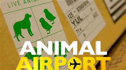 Animal Airport poster