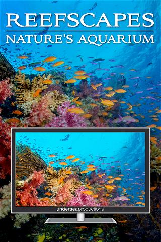 Arrecifes de coral: Acuario de la naturaleza poster