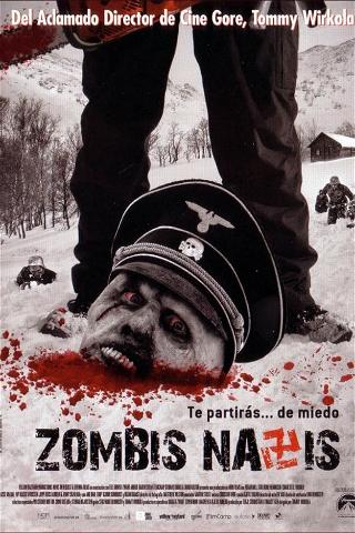 Zombis nazis poster