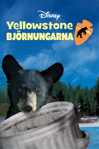 Yellowstone Björnungarna poster