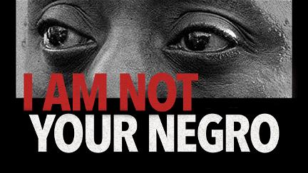 I Am Not Your Negro poster