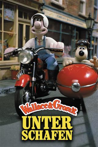 Wallace & Gromit - Unter Schafen poster