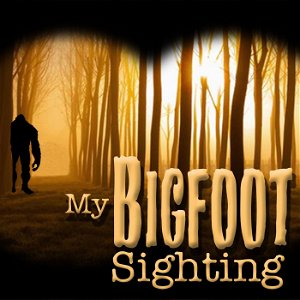 My Bigfoot Sighting poster
