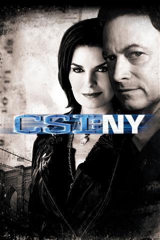 CSI: New York poster