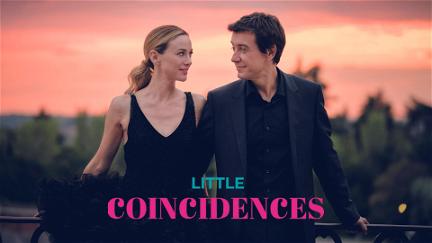 Little Coincidences poster
