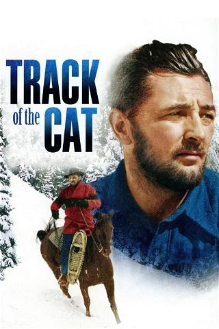 Track of the Cat poster