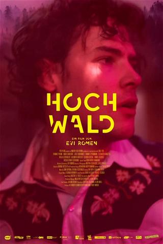 Hochwald poster