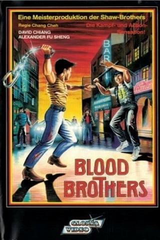 Die Blutsbrüder des Kung-Fu poster