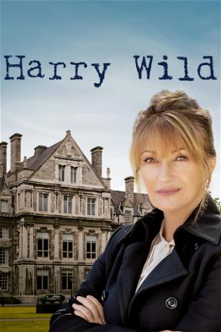 Harry Wild poster