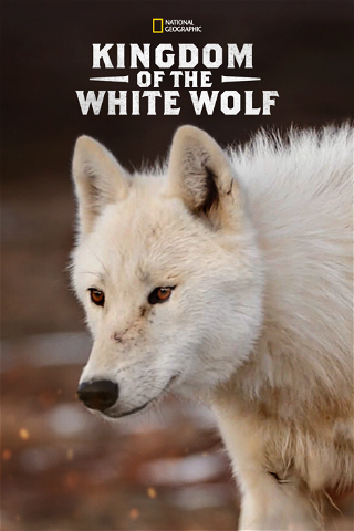 Il regno del lupo bianco poster