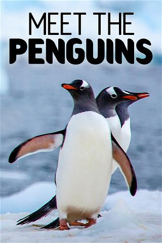 Meet The Penguins poster