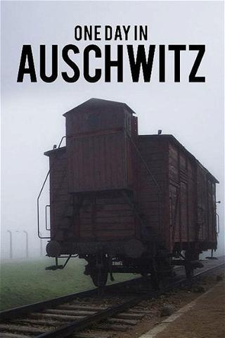 Päivä Auschwitzissa poster