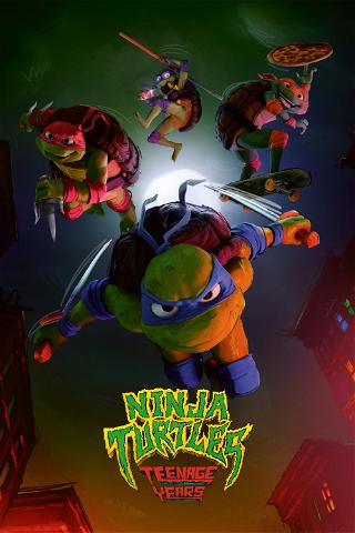 Ninja Turtles : Teenage Years poster