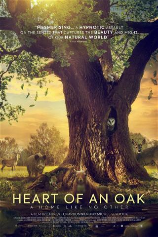 Heart of Oak poster