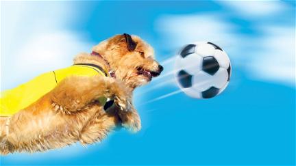 Soccer Dog - Asso del pallone poster