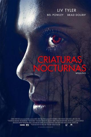 Criaturas nocturnas poster
