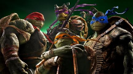 Ninja Turtles poster