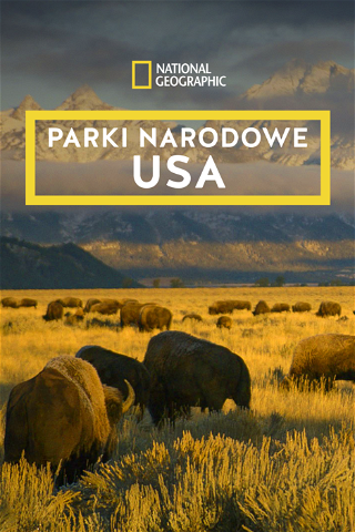 Parki narodowe USA poster