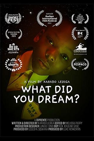 What Did You Dream? poster