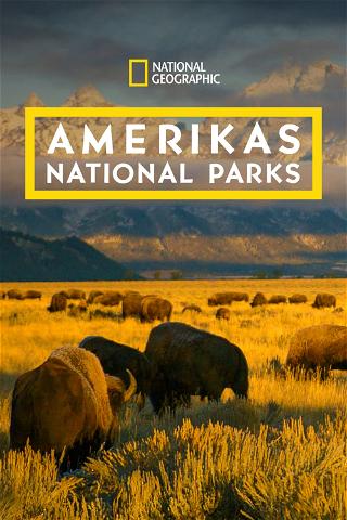 America's National Parks poster