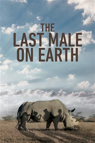 The Last Male on Earth poster