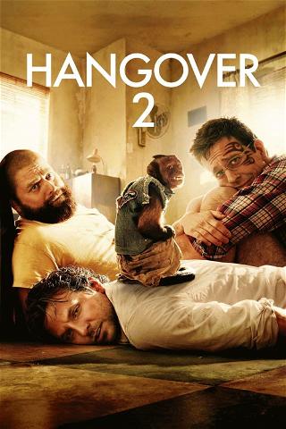 Hangover 2 poster