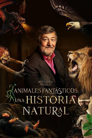 Animales fantásticos: Una historia natural poster