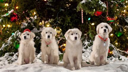 Zampa 2 - I cuccioli di Natale poster