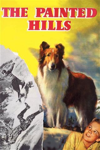 Lassie: Las colinas pintadas poster