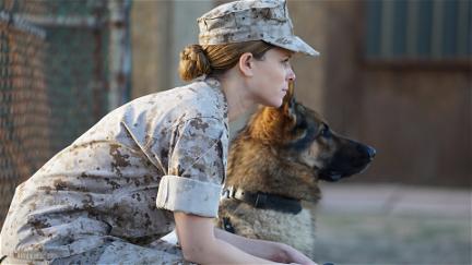 Sergeant Rex - Nicht ohne meinen Hund poster