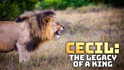 Cecil: The Legacy of a King poster