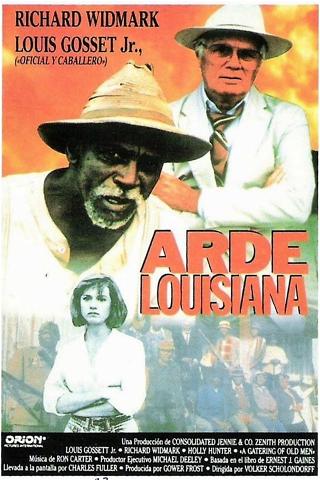 Arde Louisiana poster