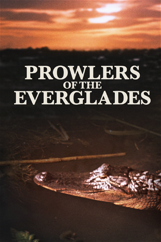 Everglades, monde mystérieux poster