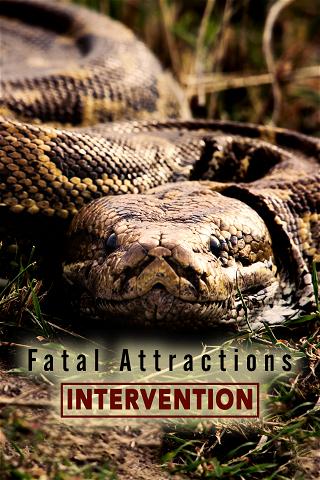Fatal Attractions: Intervention poster