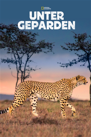 Unter Geparden poster