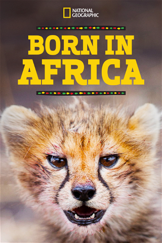 Tierbabys in Afrika poster