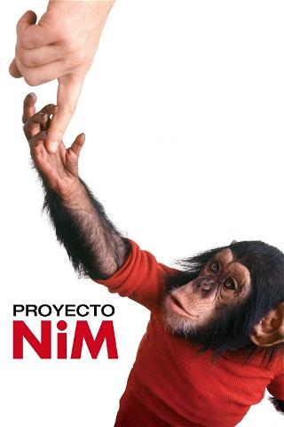 Proyecto Nim poster