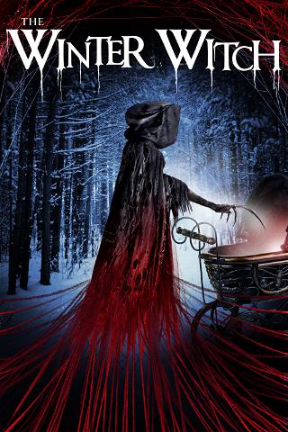The Winter Witch poster
