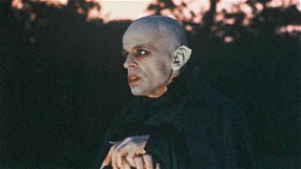 Nosferatu - nattens vampyr poster