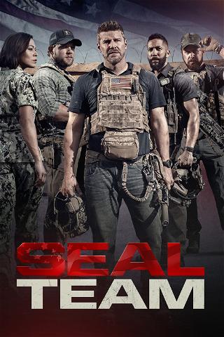 Seal Team poster