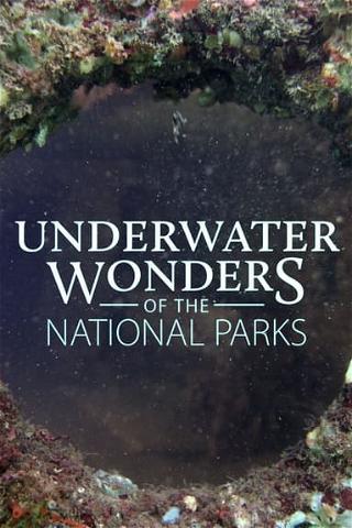 Underwater Wonders of the National Parks poster