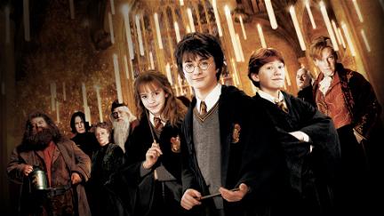 Harry Potter en de Geheime Kamer poster