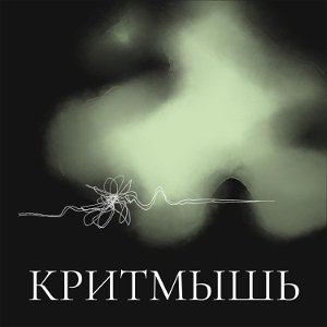 КритМышь poster