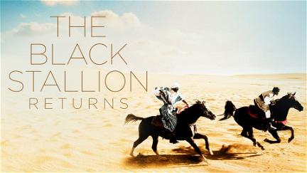 Il Ritorno di Black Stallion poster