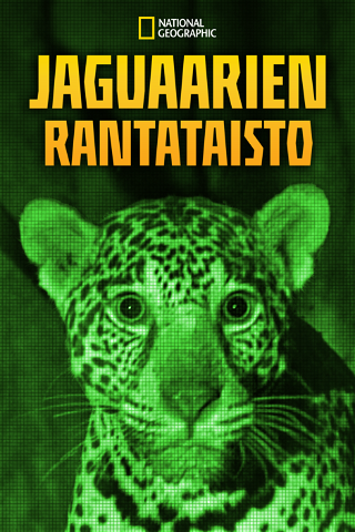 Jaguaarien rantataisto poster