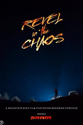 Revel in the Chaos poster