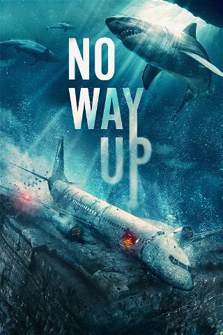 No Way Up poster