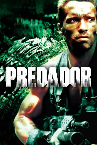 O Predador poster