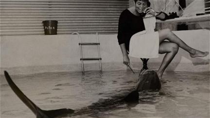 60'ernes vilde delfineksperiment (The Girl Who Talked to Dolphins) poster