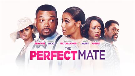 The Perfect Mate poster